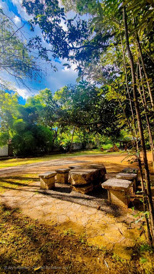 Jay'S Avenue Hotel Udawalawe Exterior photo